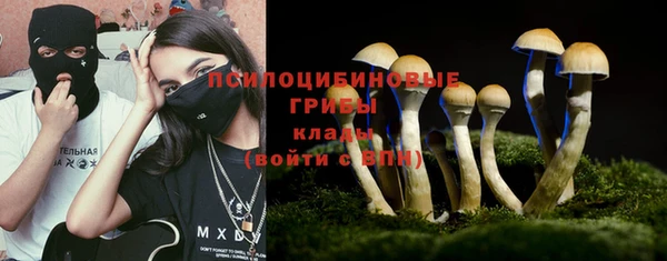 кокс Баксан