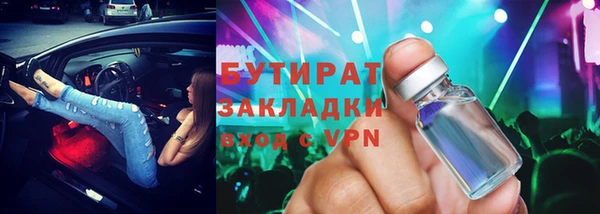 индика Гатчина